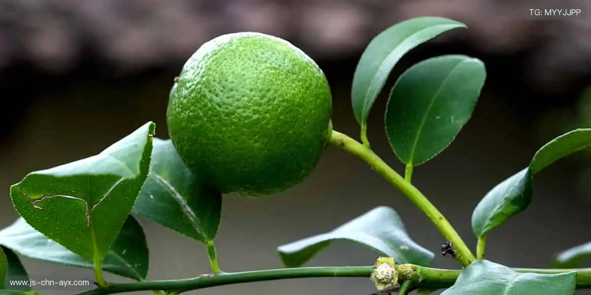 ⚽️每一脚精彩，都值得被定格！