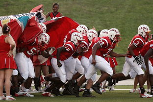爱游戏-全国城际定向越野赛青少年组吸引众多参赛者，全国定向越野锦标赛