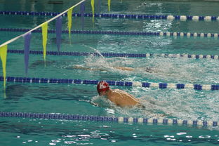 爱游戏下载-全国大学生花样游泳大赛优秀节目连连，2020年全国花样游泳比赛