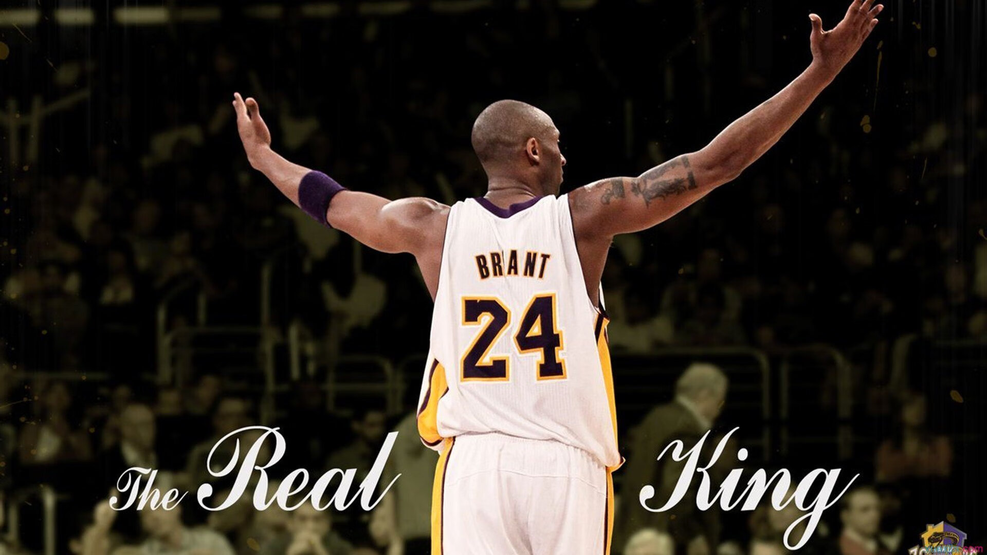 主力后卫伤愈复出带动球队整体进攻节奏显著提升，后卫在球队作用