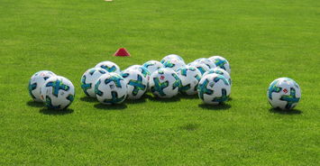 爱游戏官网app-弗莱堡欲搅局，多特需提防冷平，佛莱堡vs多特蒙德